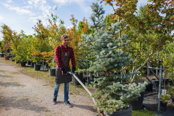 Trusted Lake Wazeecha, WI Tree Services Experts