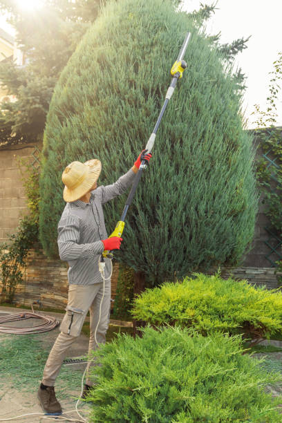 Best Lawn Pest Prevention  in Lake Wazeecha, WI